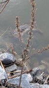 PXL_20260419_135752537.MP.jpg