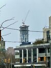 IMG_3528.jpeg