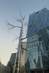 IMG_3170.jpeg