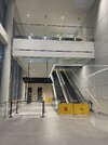 IMG_3231.jpeg