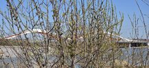 20260426_105321.jpg