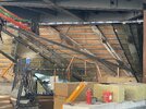IMG_3289.jpeg