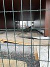 IMG_9290.jpeg
