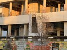 IMG_1066.jpeg