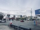 IMG_2089.jpeg