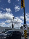 IMG_6775.jpeg