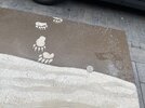 IMG_3751.jpeg