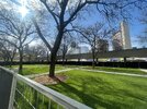 IMG_3807.jpeg