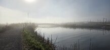 20260517_075450.jpg