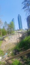 signal-2026-05-18-180236.jpeg