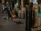 qRpIEwY.gif
