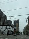 IMG_1392.jpeg