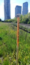 signal-2026-05-27-163407_002.jpeg
