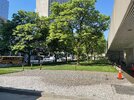 IMG_4268.jpeg