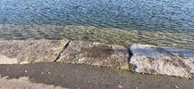 20260607_071717.jpg