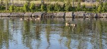 20260607_065841.jpg