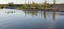 20260607_065749.jpg