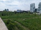 PXL_20260609_191911266.jpg