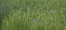 20260612_175059.jpg