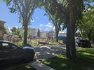 20260614_134441.jpg