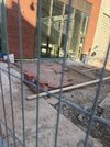 IMG_0919.jpeg