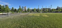 20260620_075139.jpg