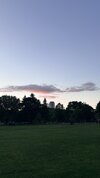 IMG_2446.jpeg