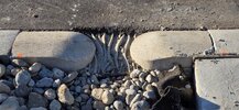 20260623_072418.jpg