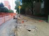IMG_20160806_175839.jpg
