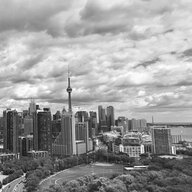 Torontoneighbour