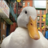 ducky