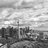 Torontoneighbour