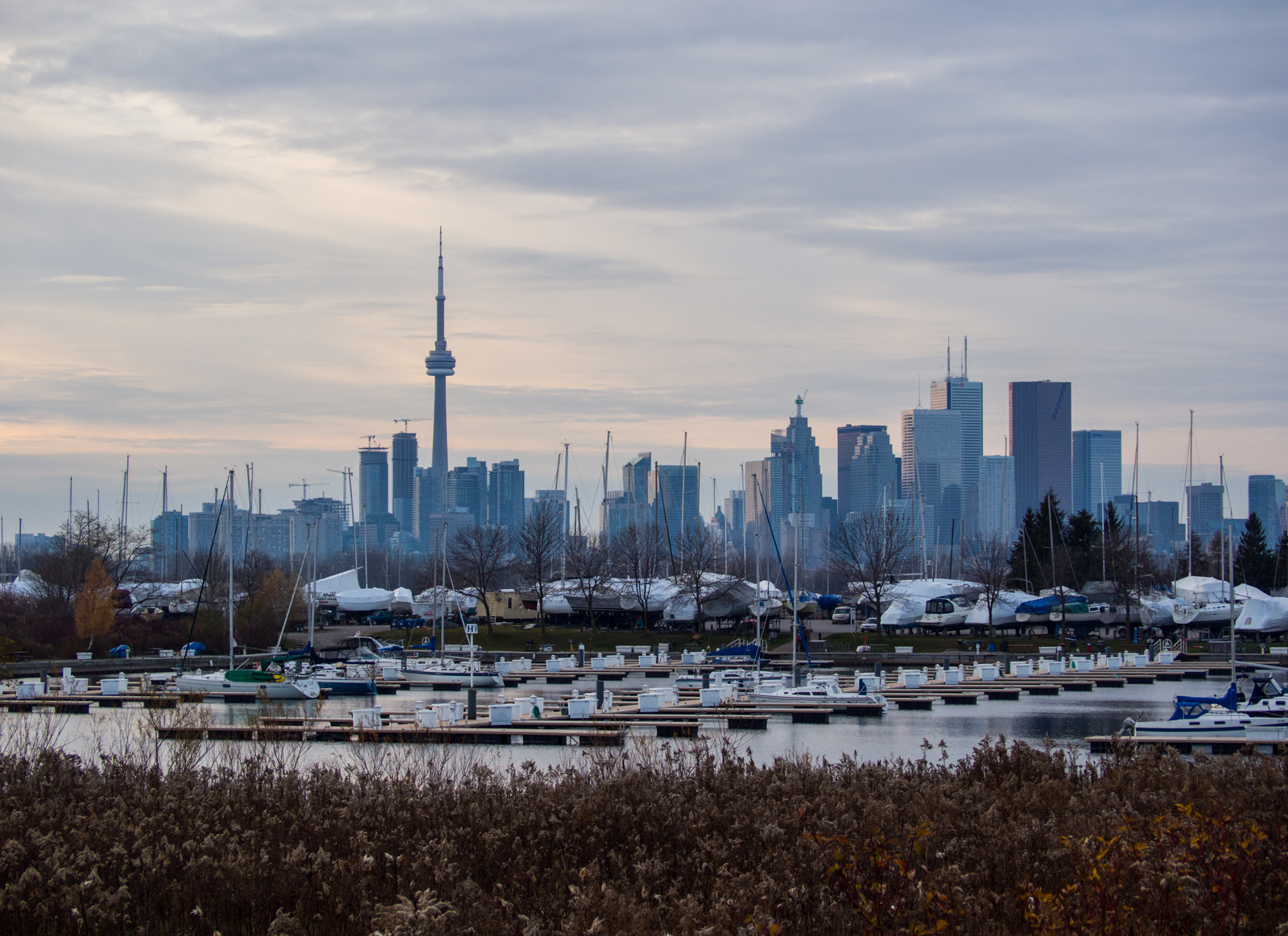 Photo of the Day November Skyline UrbanToronto