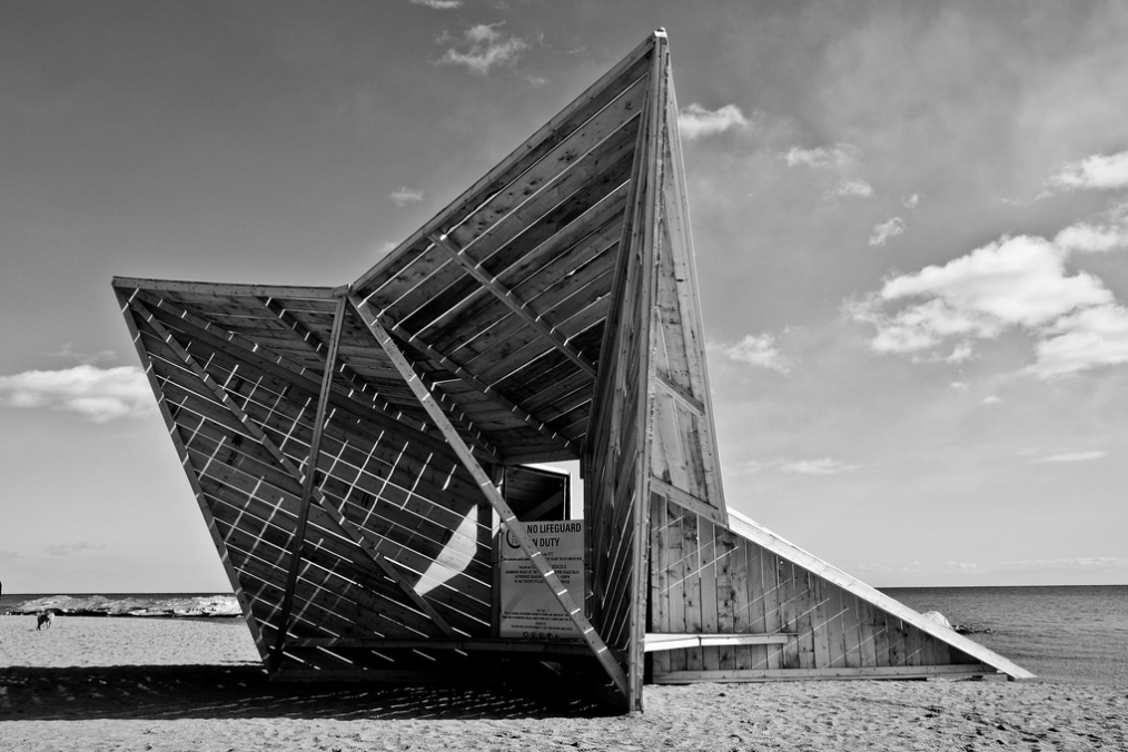 Photo of the Day Driftwood Throne UrbanToronto