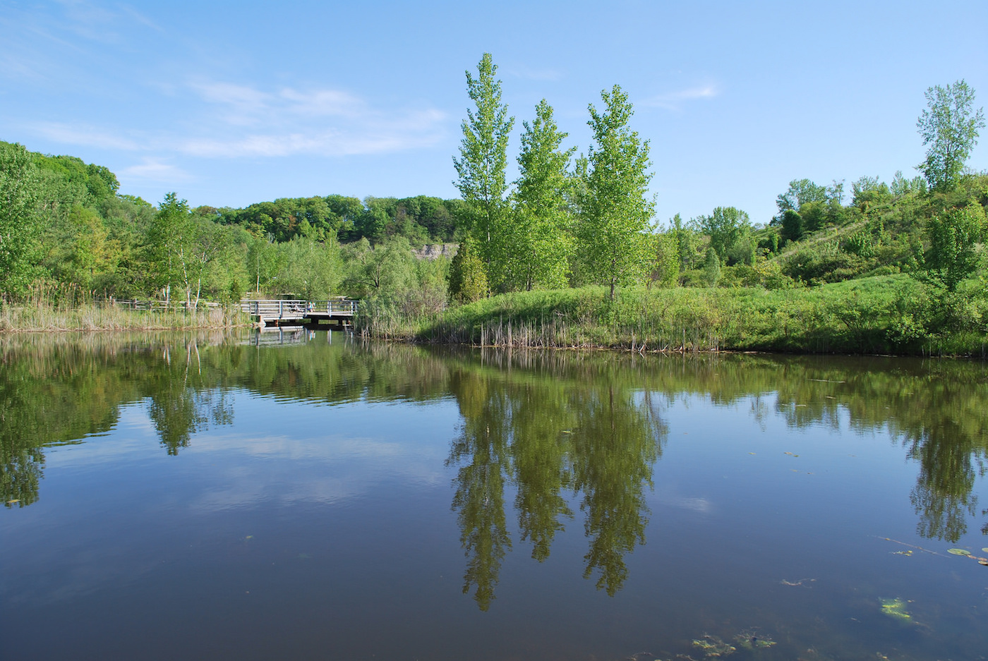 New Environmental Protections Proposed By City Planning Urbantoronto