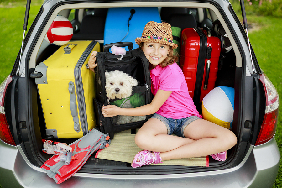 Sponsored Post Tips for Travelling With Your Pets UrbanToronto