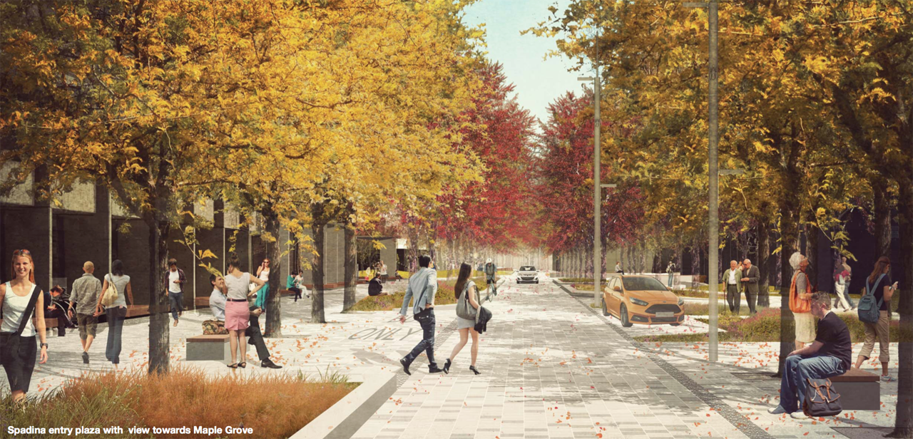 Public Realm Redesign in the Works for U of T's Willcocks Street