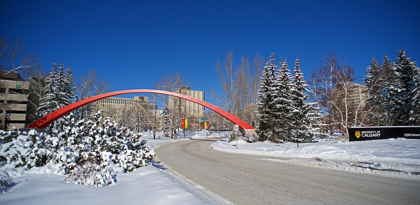 u of calgary architecture requirements