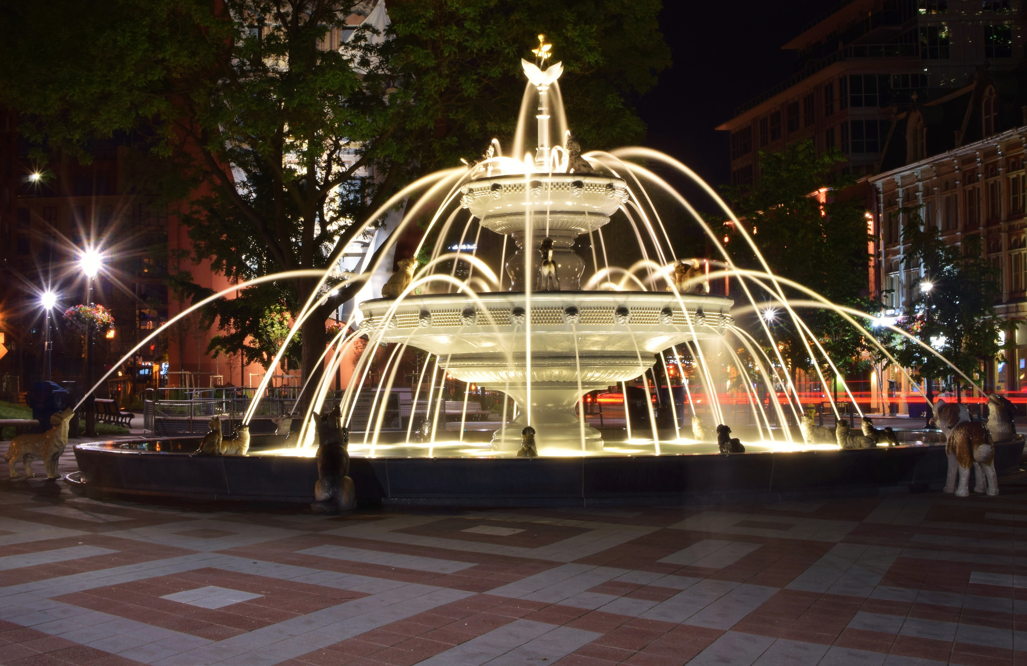 park fountain at night