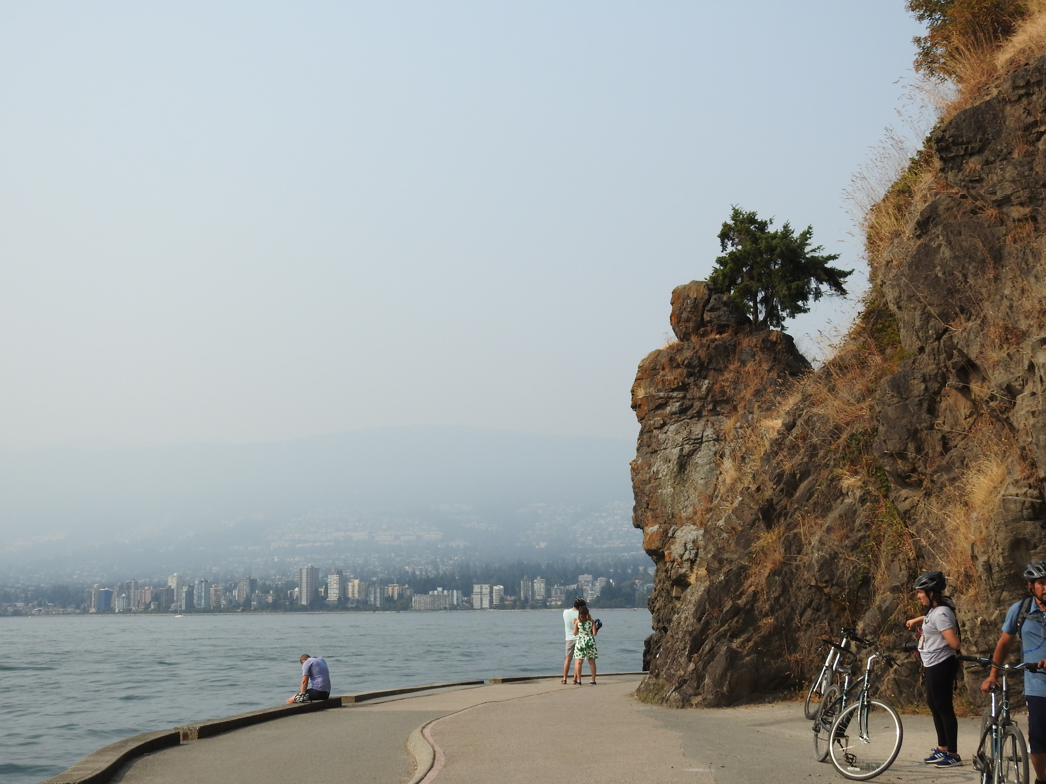 Stanley Park Seawall Undergoing Largest Restoration in its 101Year