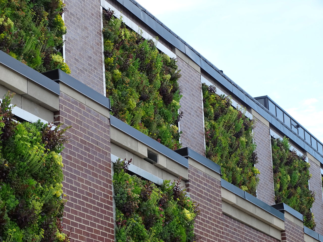 RioCan's Bathurst College Centre—and its Hidden Living Wall—Complete ...