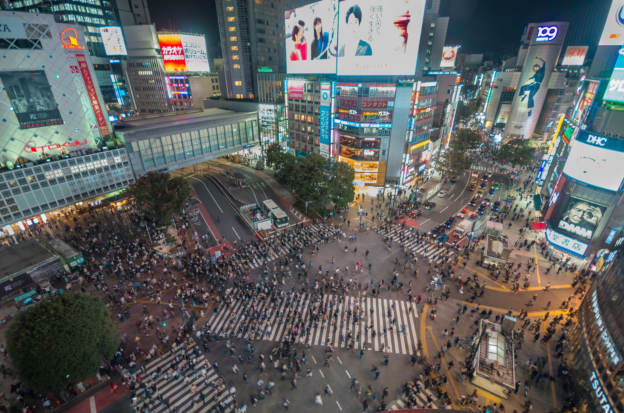 shibuya scramble rem