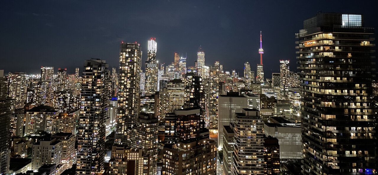 Forest of Lights | UrbanToronto