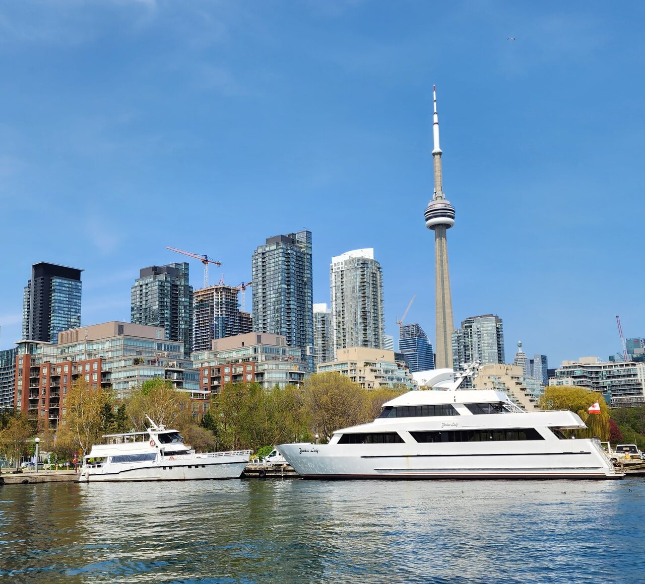 Harbour Views: Yachts, Condos, Pesky Landmark