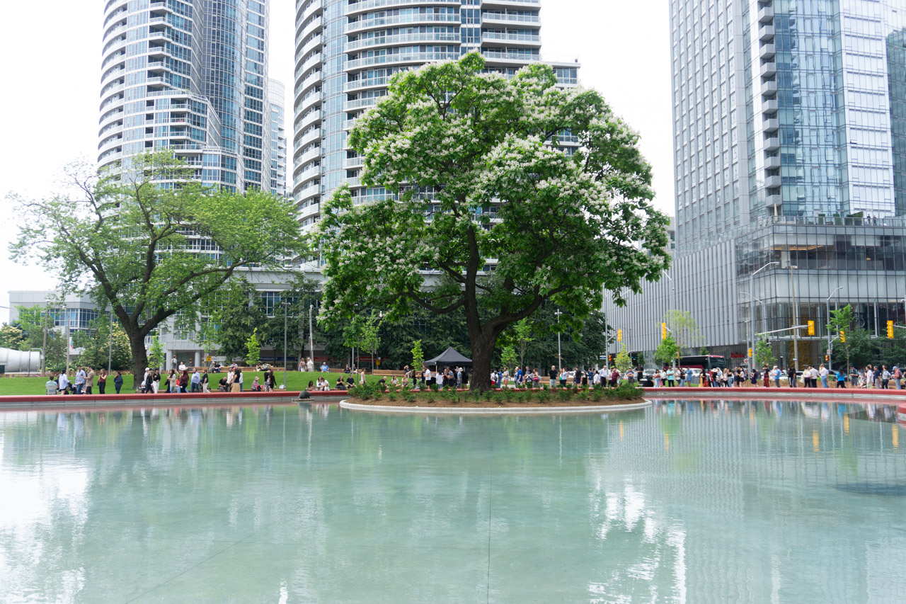 Love Park Grand Opening Celebrated On Toronto S Waterfront Flipboard   53016 159394 