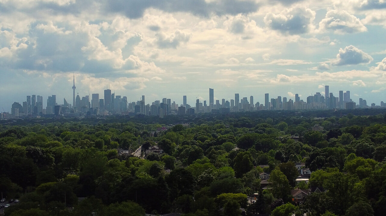 Forest City | UrbanToronto
