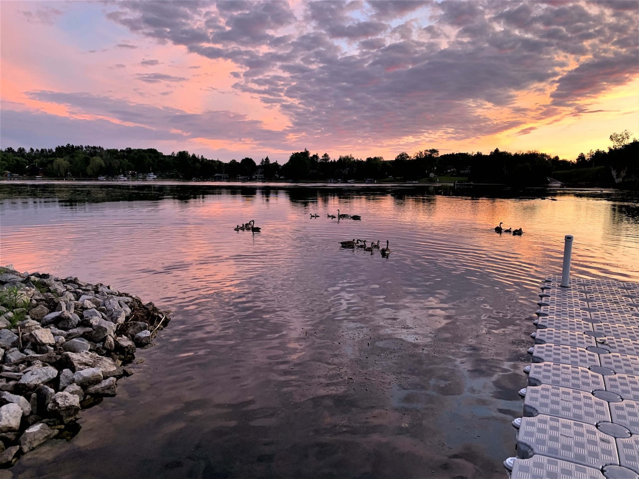 $10M Parks Deal Protects Nearly 19,400 Hectares Across Ontario